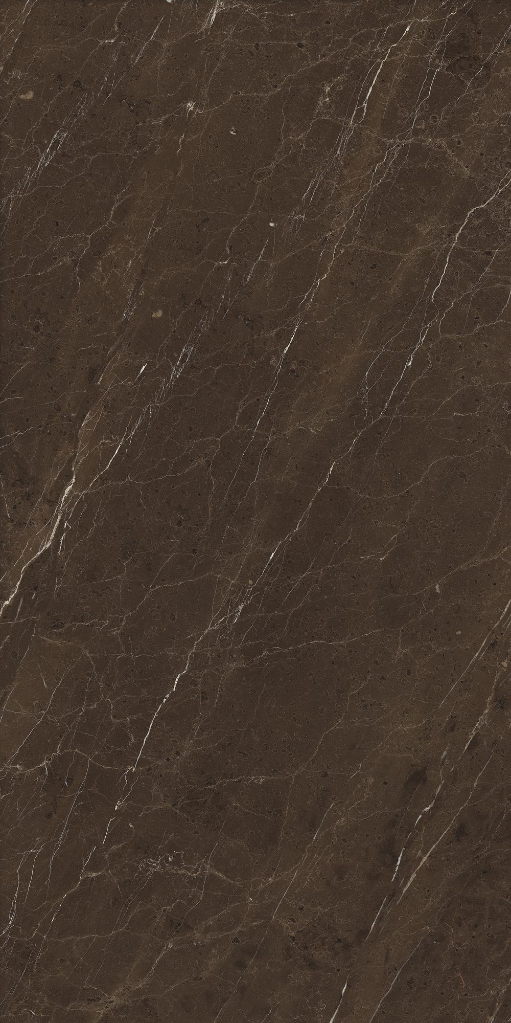 Ảnh sản phẩm  Vân đá Marble, Màu nâu, 31055