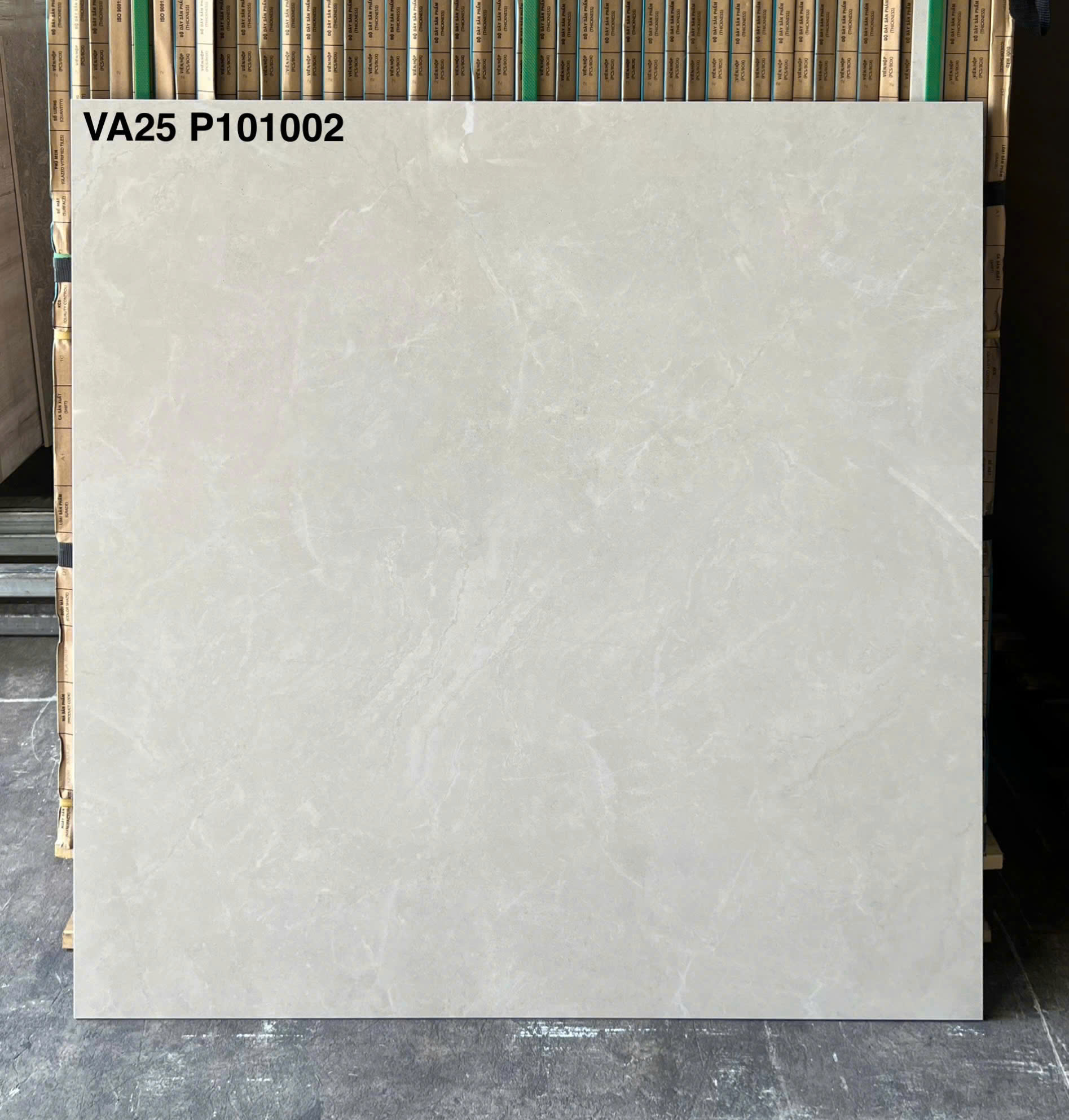 Ảnh sản phẩm Gạch men bóng xương granite VA25-P101002