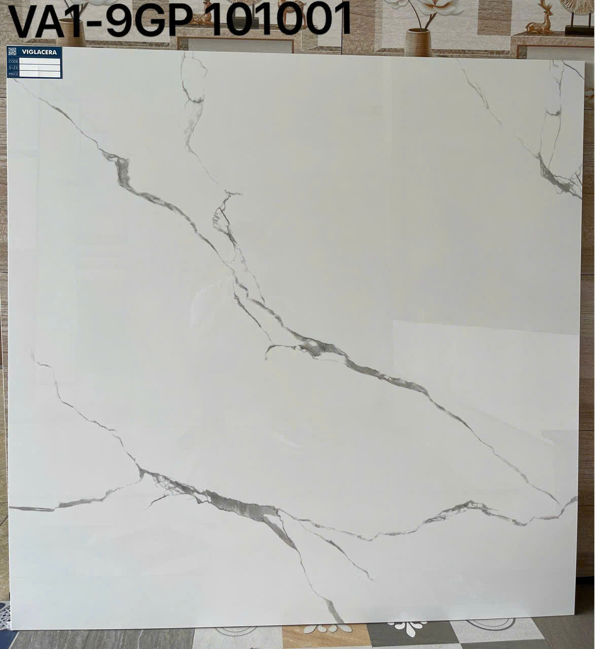 Ảnh sản phẩm Gạch men bóng xương granite  VA1-9GP101001